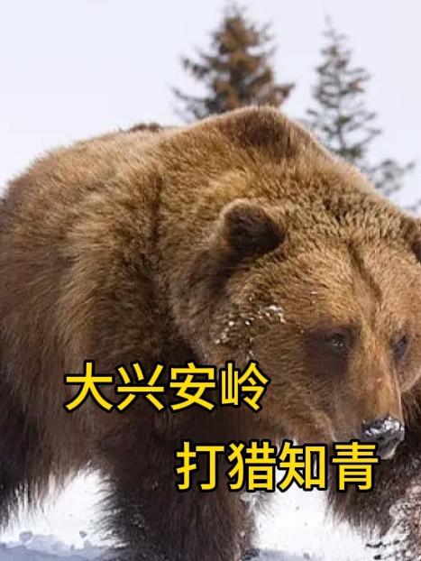 大兴安岭可以打猎吗