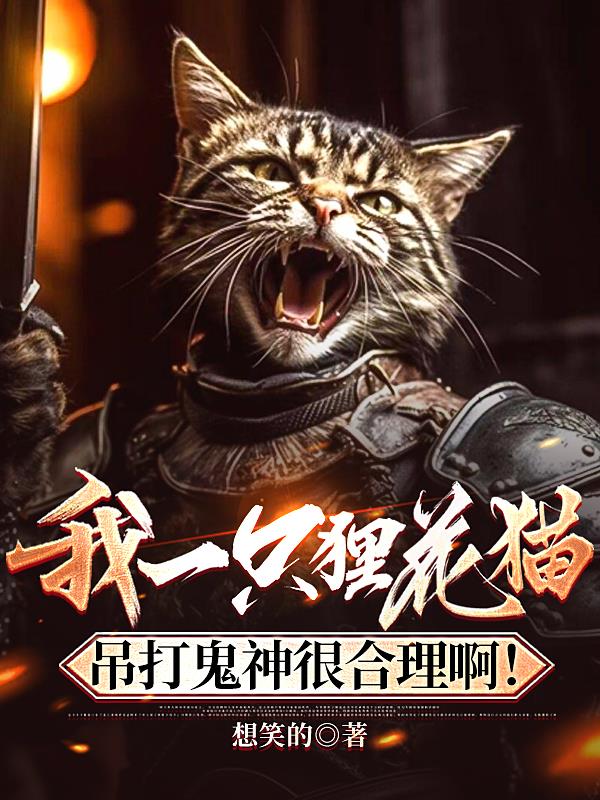 我一只狸花猫吊打鬼神很合理啊！